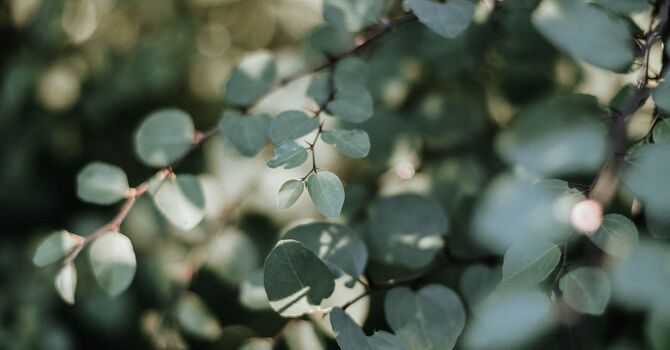 Elbow Pain When Lifting (Tennis/Golfer’s Elbow)