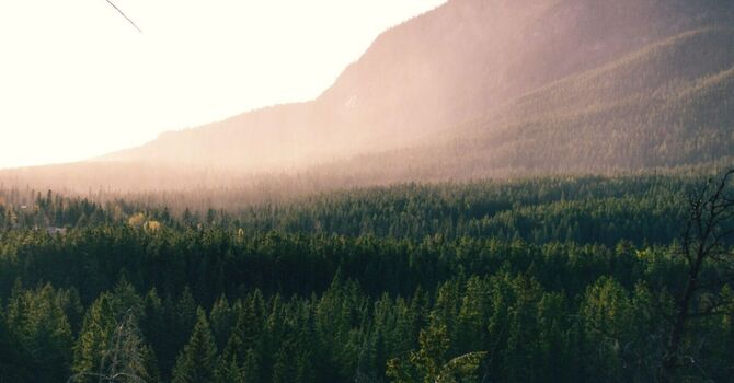 Mid-Back Pain When Sitting