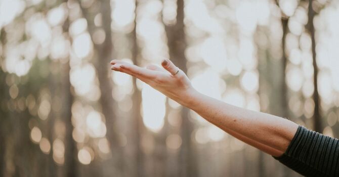 Muscle Strain After Working Out image